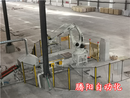 砂漿膩子粉全自動碼垛機(jī)