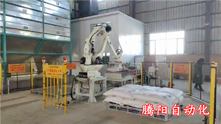 智能包裝碼垛機(jī)生產(chǎn)線(xiàn)